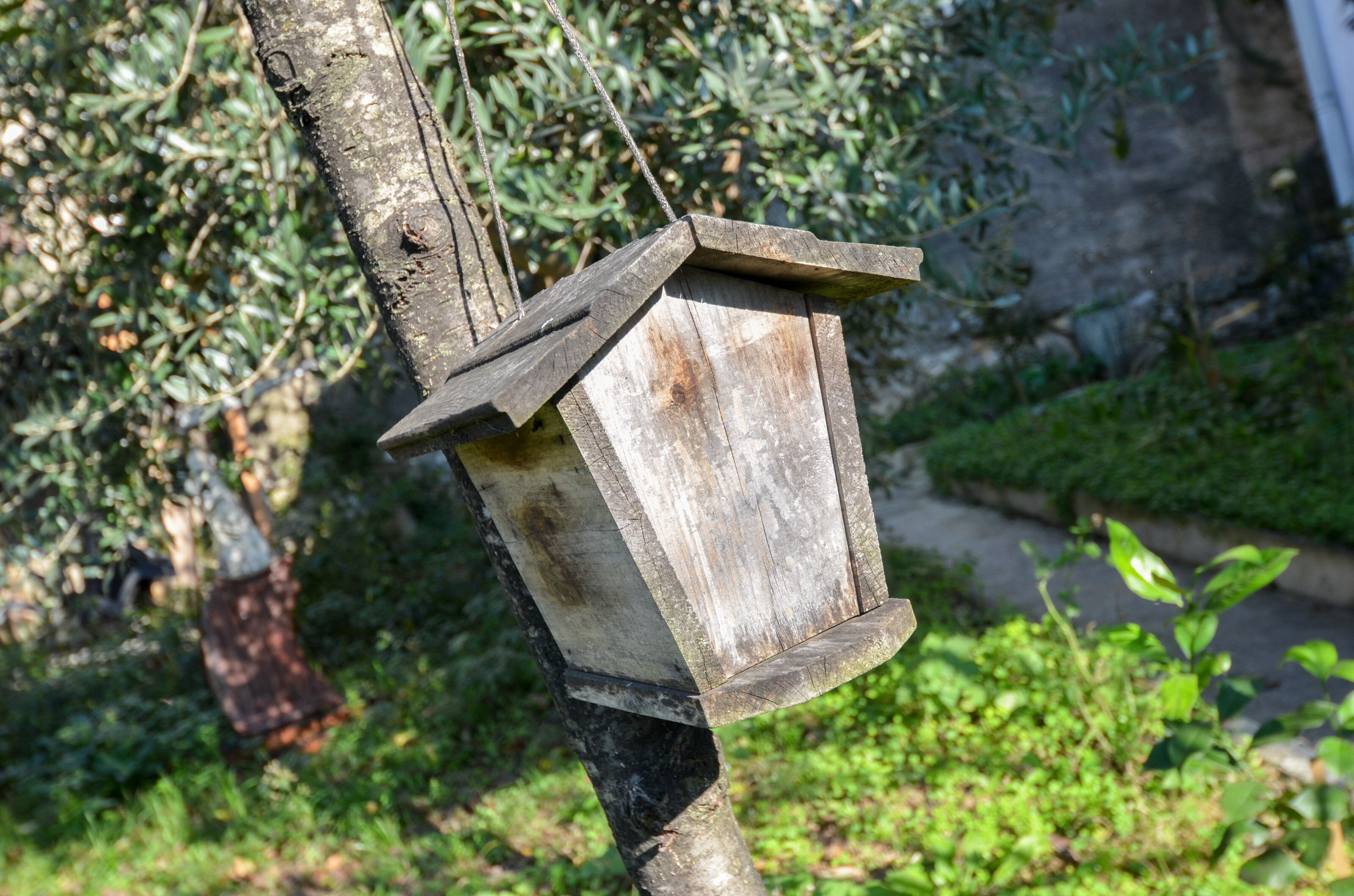 A wooden birdhouse attached to a tree.