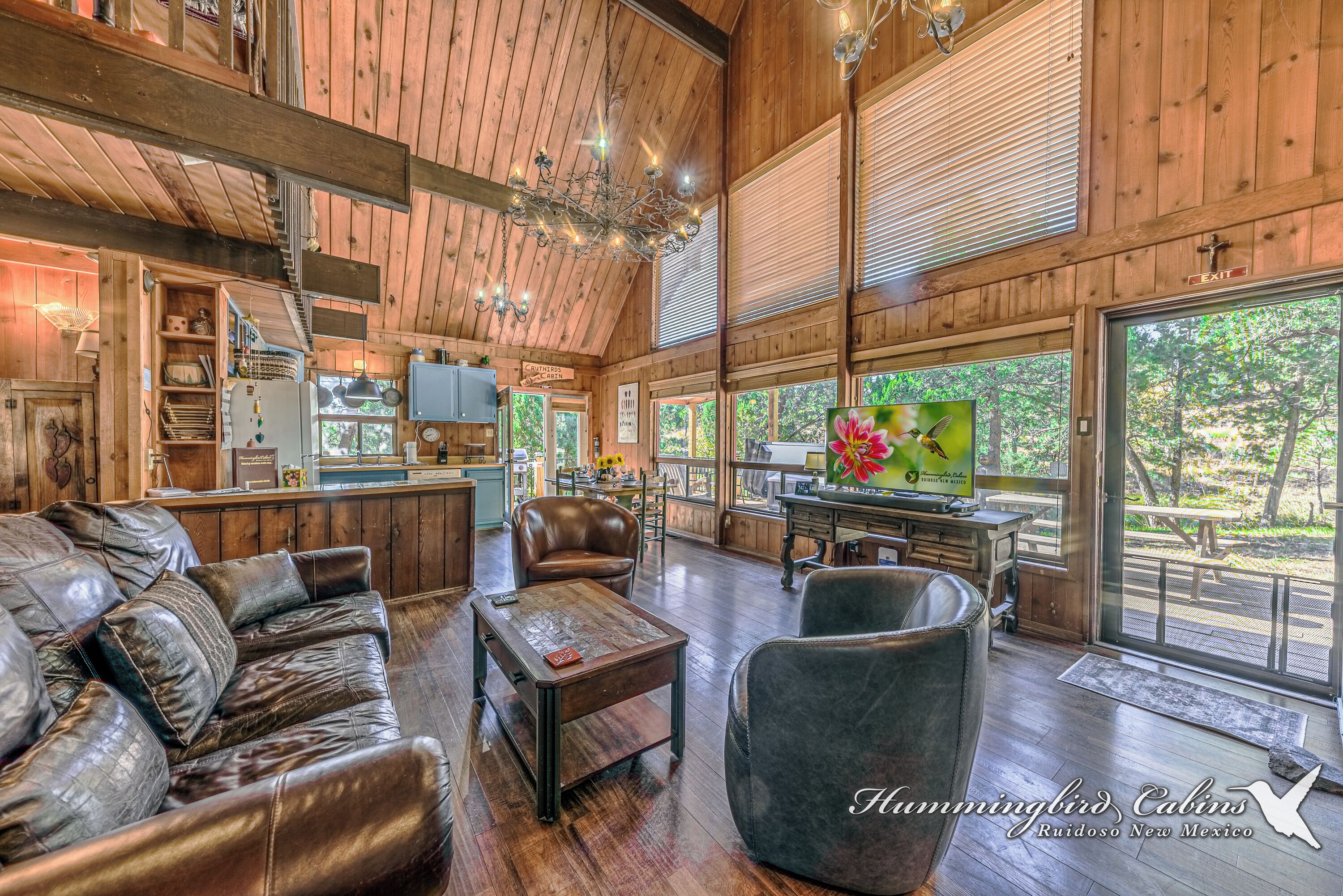 TV, fireplace, DVD player
