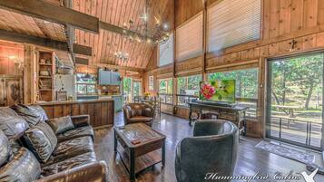 TV, fireplace, DVD player