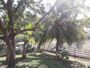 Property grounds - House sills  (trinité)