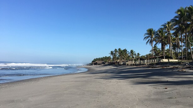 Een strand met een heldere lucht, palmbomen en een rustige zee.