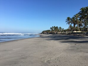 A beach with a clear sky, palm trees, and a calm sea.