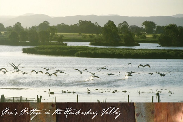 Pitt Town Lagoon bird sanctuary