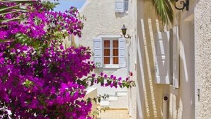 Un estrecho callejón con un edificio blanco, una ventana con contraventanas y una palmera.