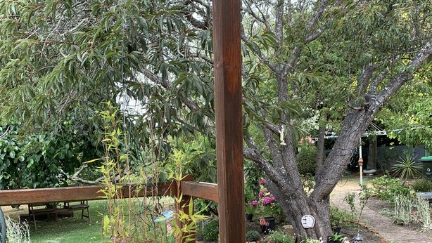Una terrassa de fusta amb plantes en testos i una estructura de pèrgola.
