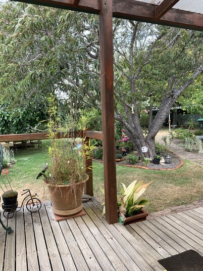 Much Loved Period Cottage