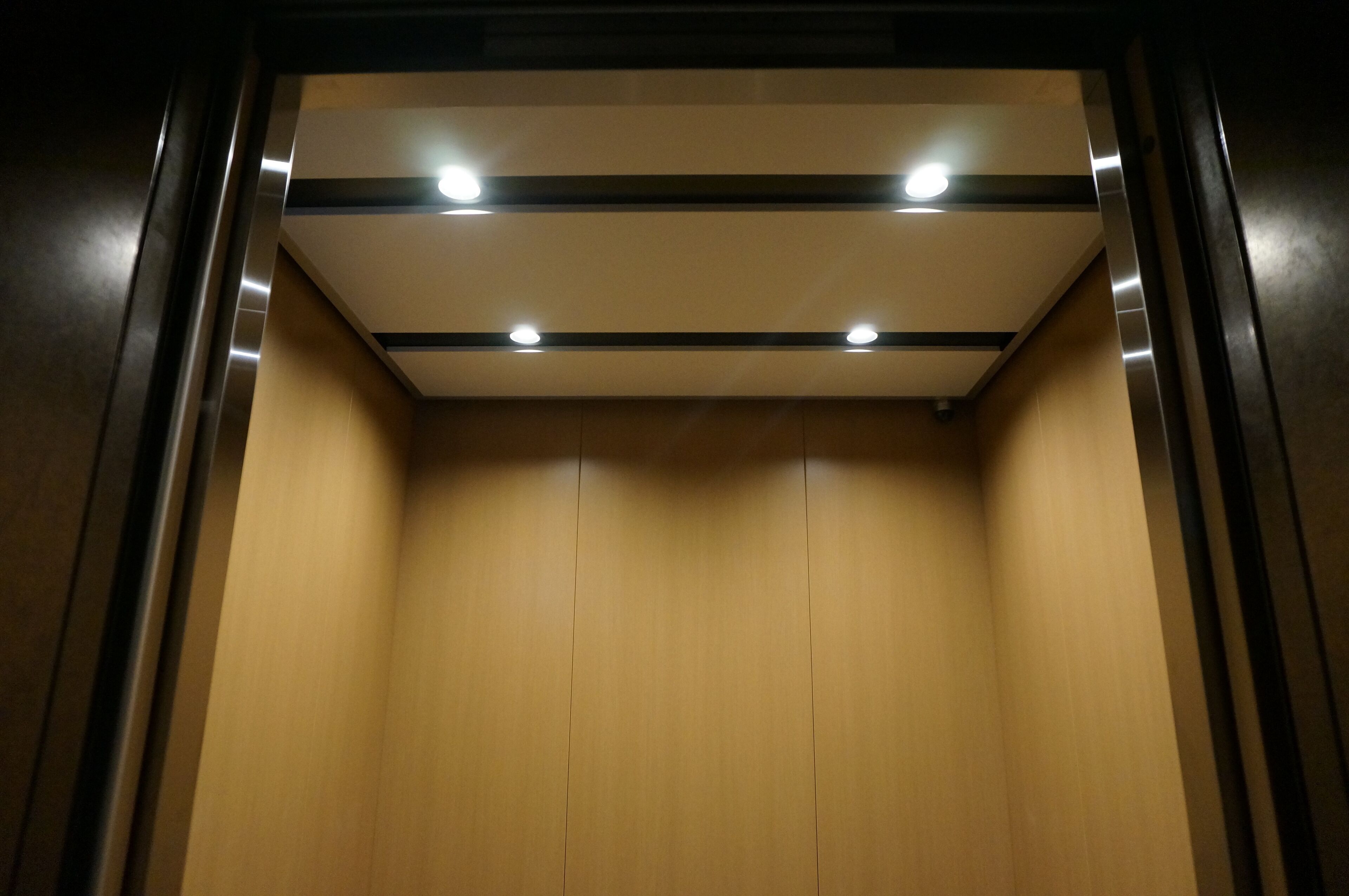 Vue intérieure d’un ascenseur avec un revêtement en bois et trois lampes au plafond.