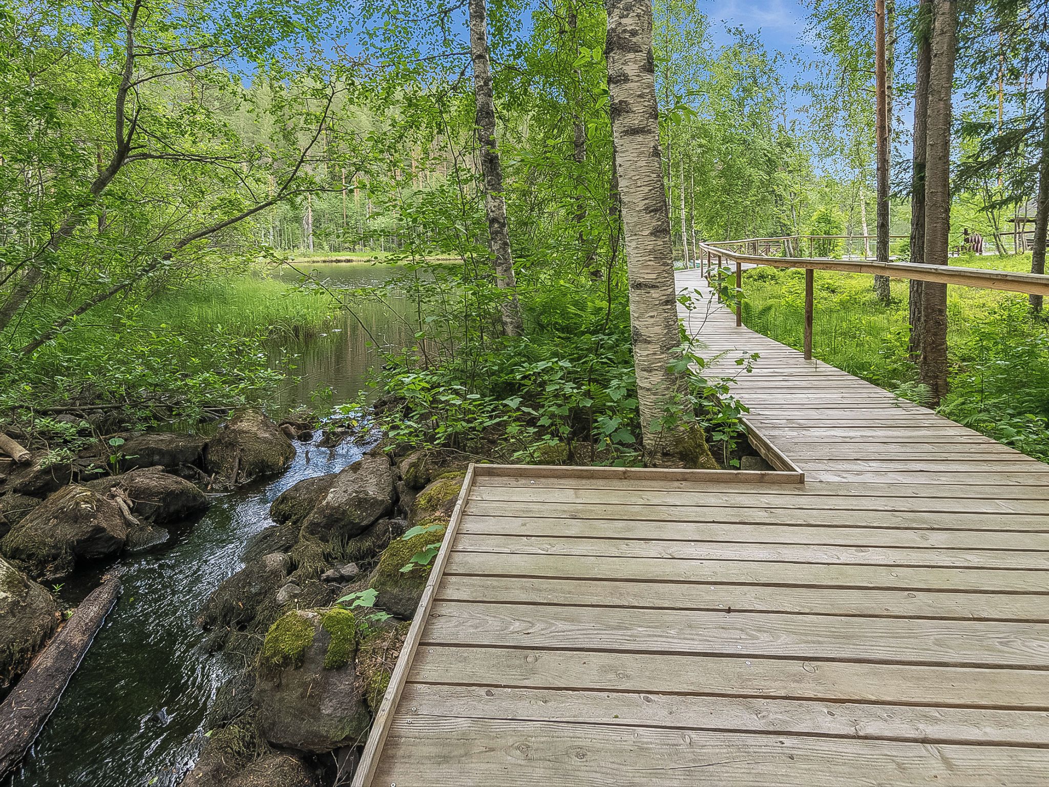 A wooden boardwalk over a stream in a forested area.