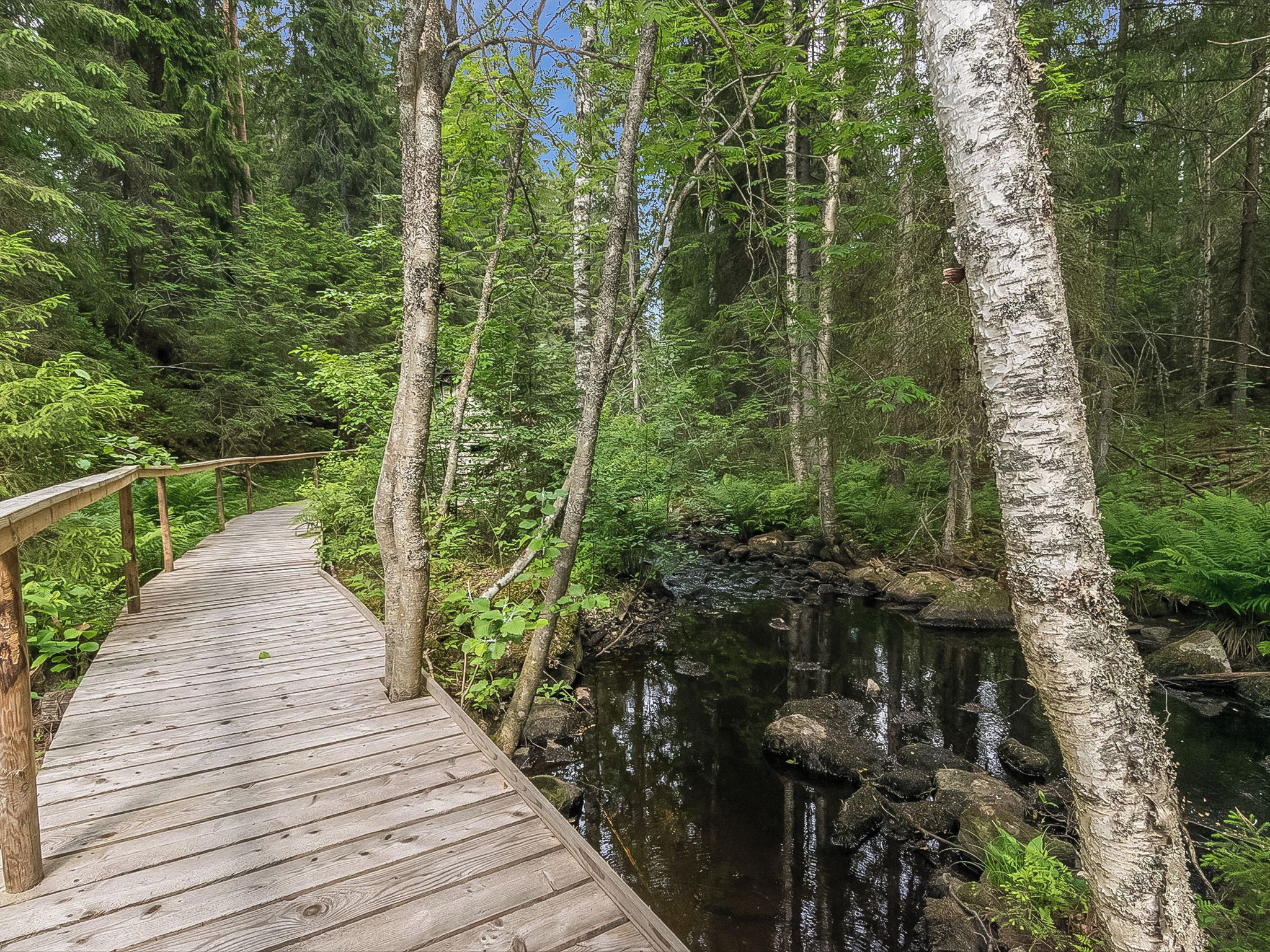 Puinen kävelysilta, joka johtaa kivikkoiseen puroon metsässä.