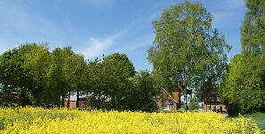 Billede uden beskrivelse, 4 af 29, knap