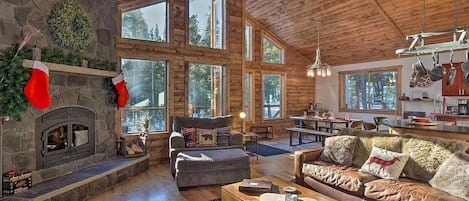 TV, fireplace, table football, books