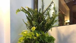 Una jardinera grande de color oscuro con follaje verde, ubicada frente a una pared con suelo de baldosas.