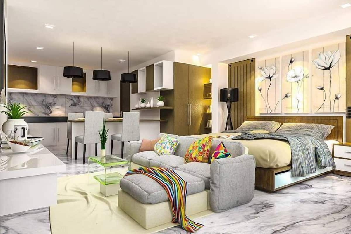 Standard Studio Suite