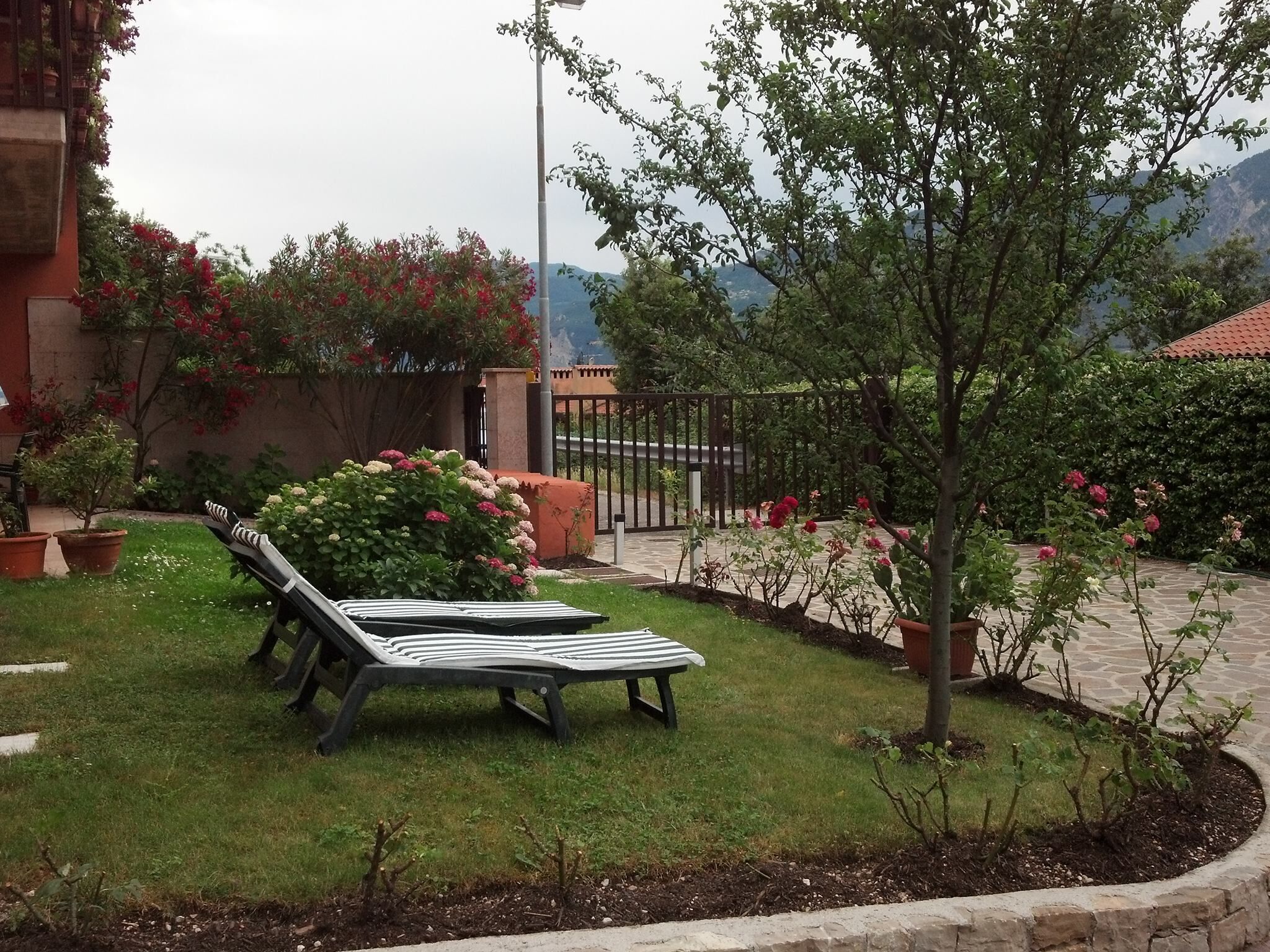 A garden with a striped lounge chair, a small tree, and potted plants.
