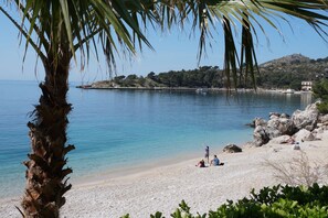 A beach with clear blue water, rocky shore, and a palm tree. - PENDO 2 apartment with sea view, near beaches and Dubrovnik (Mlini)