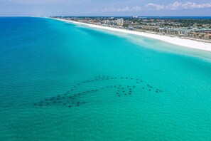 Beach nearby - ⭐Walk 2 Beach-Near Restaurants-Comm. Pool-2BR Owen's Oasis⭐ (Miramar Beach)