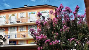 A multi-story building with balconies, a sign reading "ARISTON VACANZE", and pink flowering trees in front. - Ariston Vacanze Residence (Ravenna)