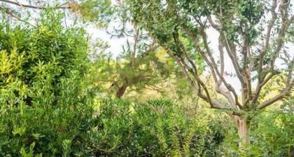 Ariston Vacanze Residence