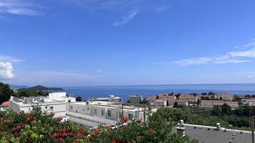 Vista da propriedade