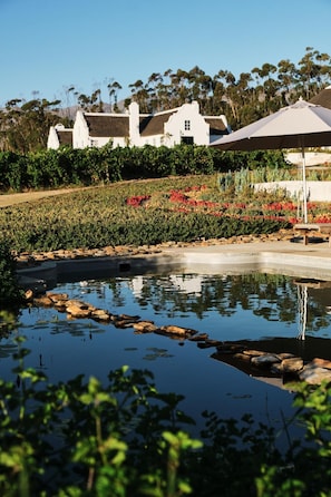 Una piscina al aire libre, sillones reclinables de piscina