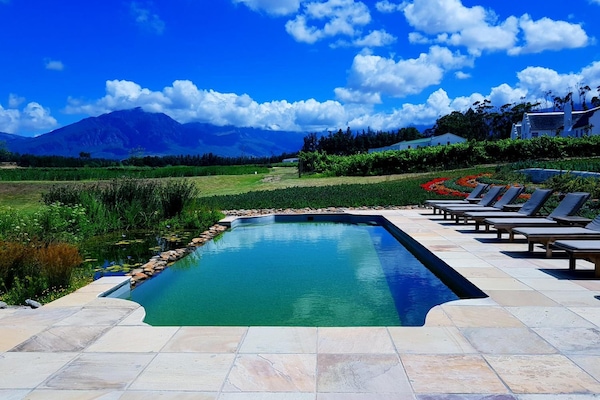 Outdoor pool, sun loungers