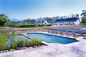 Outdoor pool, sun loungers