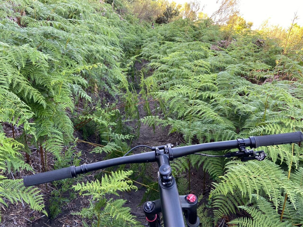 Ciclismo