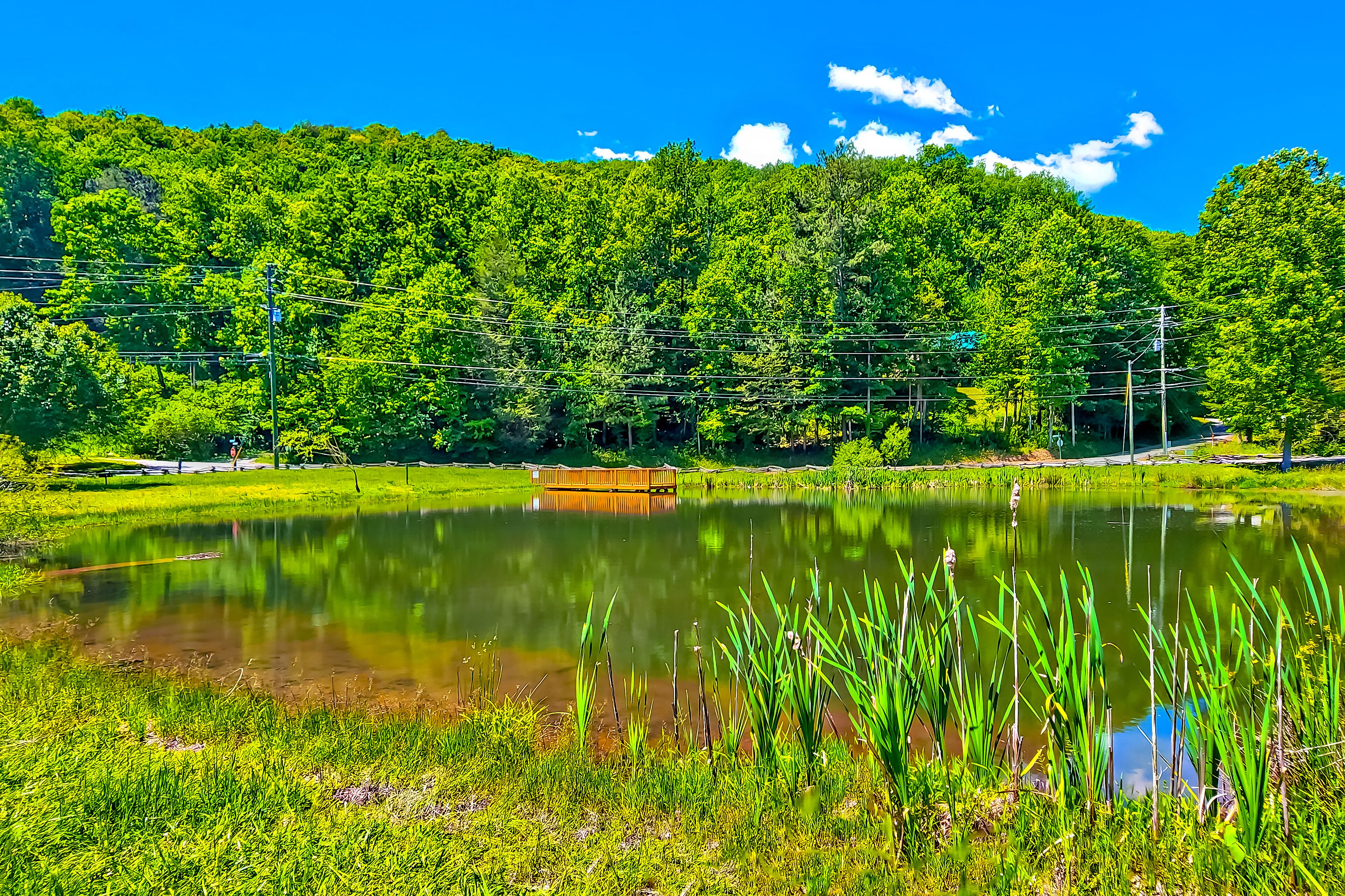 Un lac paisible, bordé d’une végétation luxuriante et entouré d’une colline boisée.