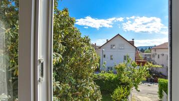 Superior Apartment | View from room