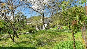 Standard Apartment | View from room