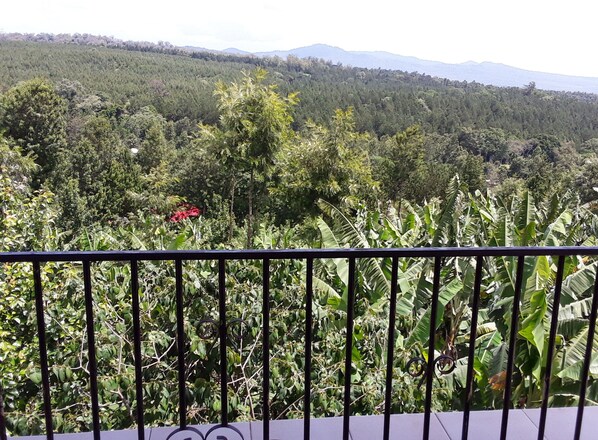 Enjoy breathtaking views of lush green landscapes and distant mountains from this serene outdoor space.