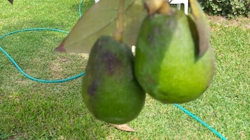 Àrea exterior de l'allotjament