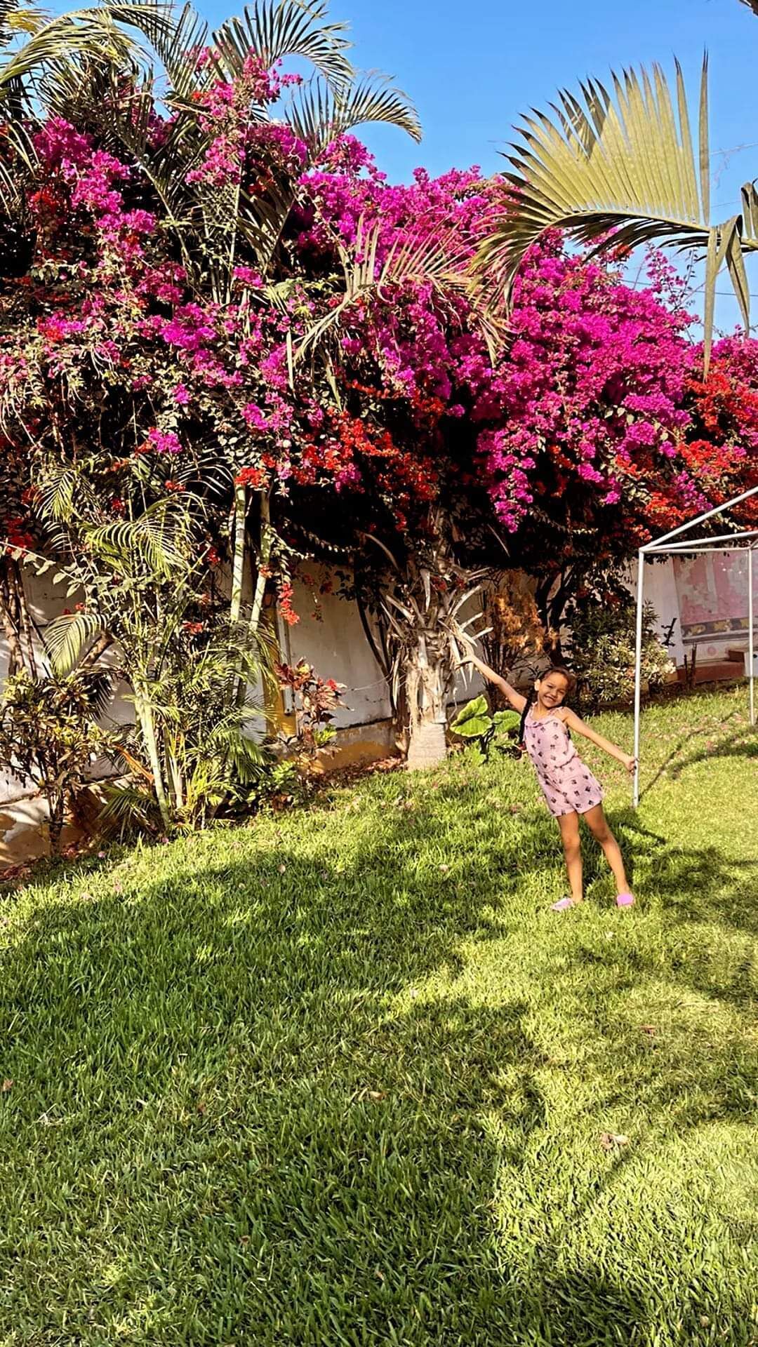 Terrain de l’hébergement 