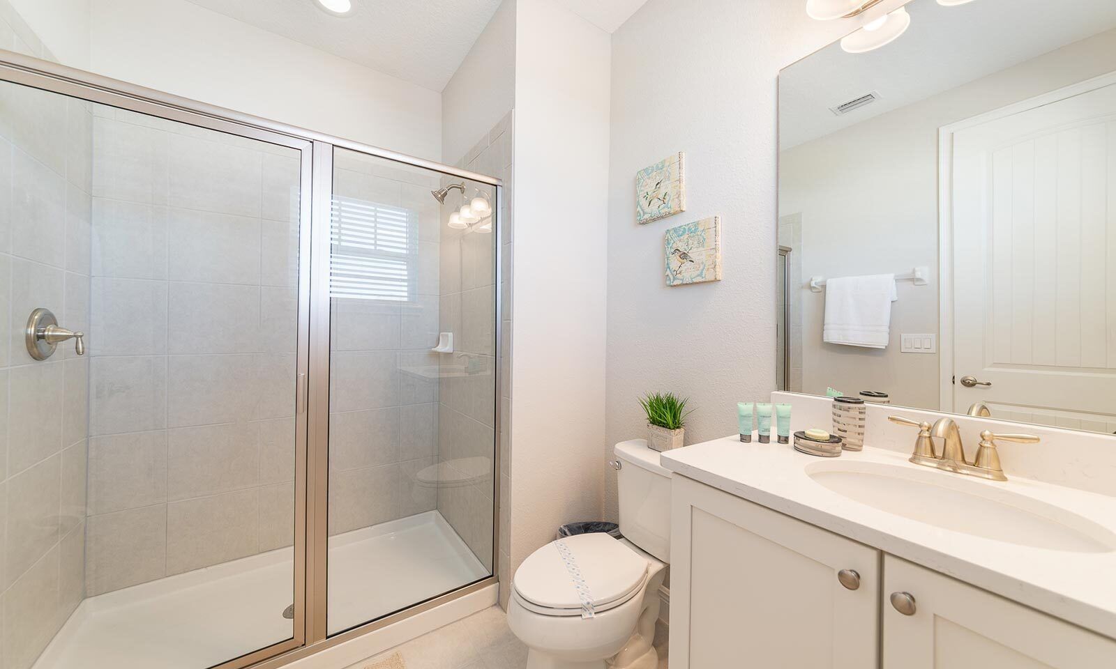 A modern bathroom with a glass-enclosed shower, a toilet, a sink with toiletries, and a large mirror.