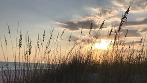 A sunset over a beach with tall grasses in the foreground. - PERFECT VIEW!!! Waterfront, Marina and 2 Pools! (Fort Walton Beach)