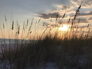 In Strandnähe, Liegestühle, Strandtücher