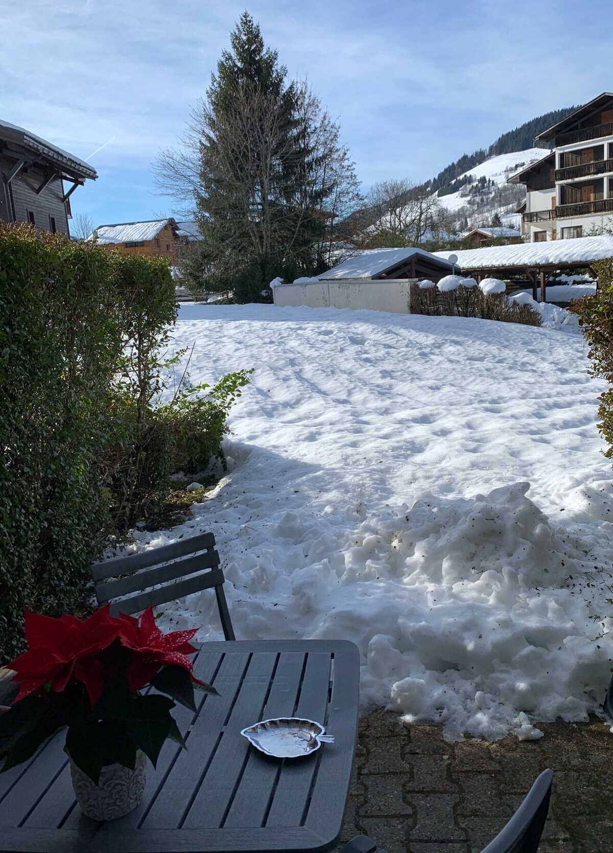 Image de profil de l’hôte