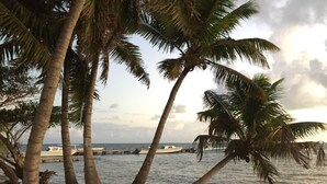 A beach with palm trees, a dock, and a boat. - Belize Blue Hole Tropical Cabin for Scuba divers! (Lighthouse Reef)