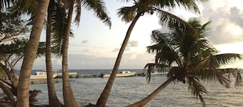 Belize Blue Hole Tropical Cabin for Scuba divers!