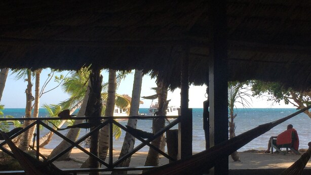 A beach view from a wooden deck with a hammock, palm trees, and a person sitting on a chair. - Belize Blue Hole Tropical Cabin for Scuba divers! (Lighthouse Reef)