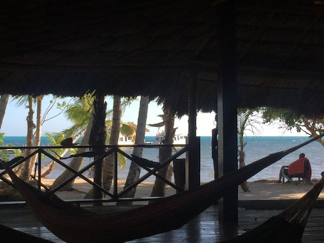 Property grounds. Belize Blue Hole Tropical Cabin for Scuba divers!
