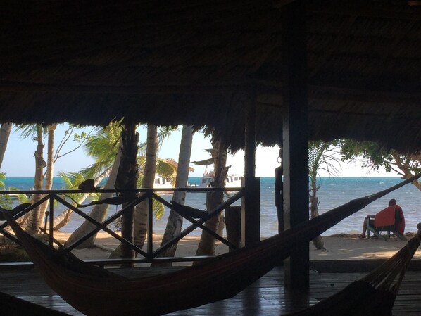 Property grounds - Belize Blue Hole Tropical Cabin for Scuba divers! (Lighthouse Reef)