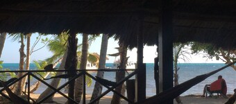 Cabine tropicale Belize Blue Hole pour les plongeurs!