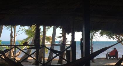 Belize Blue Hole Tropical Cabin for Scuba divers!