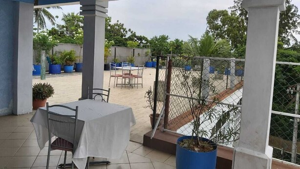 Une terrasse extérieure avec une table et des chaises, entourée de plantes en pot et offrant une vue sur le paysage urbain.