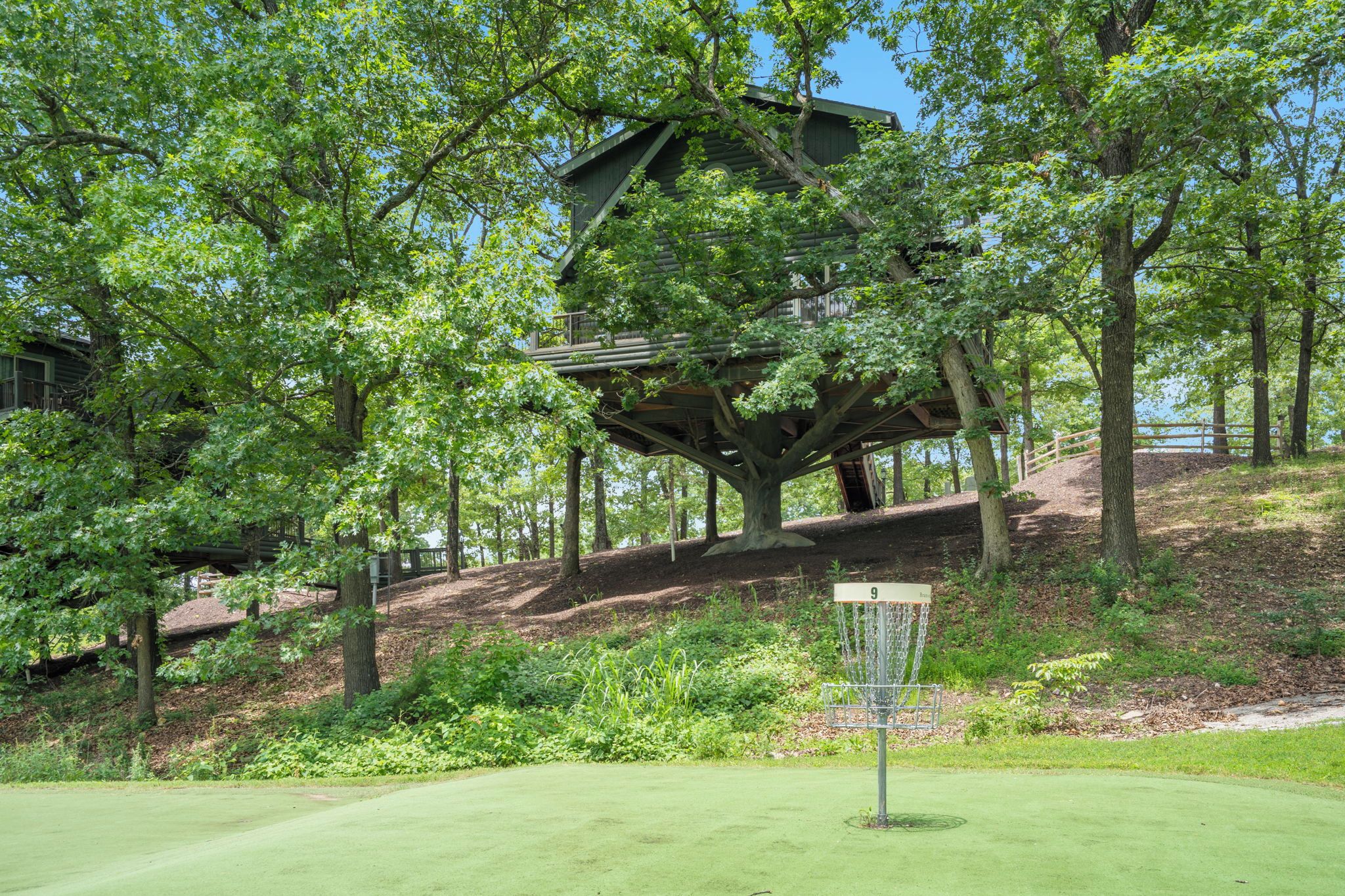 A treehouse structure built into a large tree, surrounded by lush greenery and a golf course.