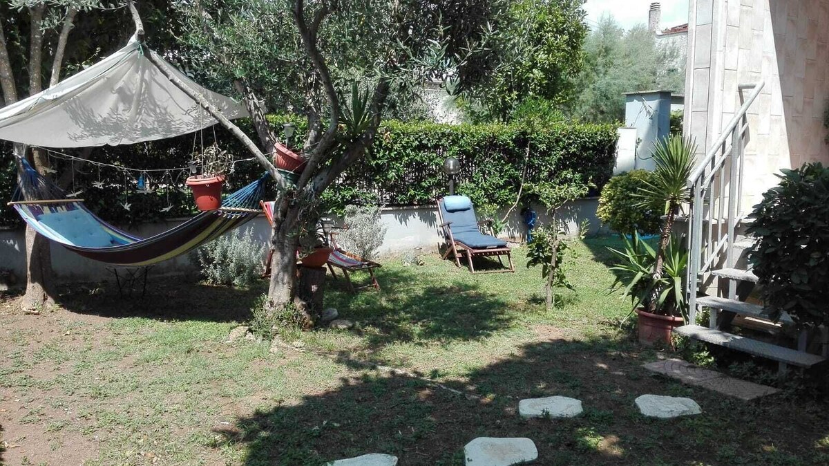 Image de profil de l’hôte