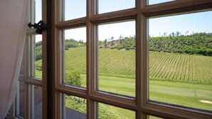 A window with a view of a vineyard. - Villa La Bollina (Serravalle Scrivia)