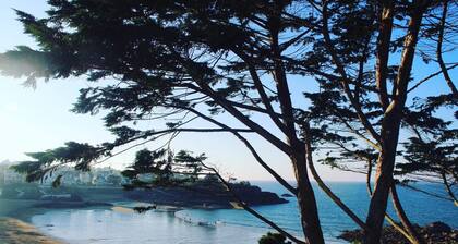 Le Pavillon Bleu: Rajoittamaton merinäköala, suora pääsy rannalle