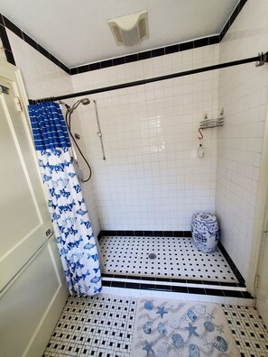 Combined shower/tub, hair dryer, towels, soap